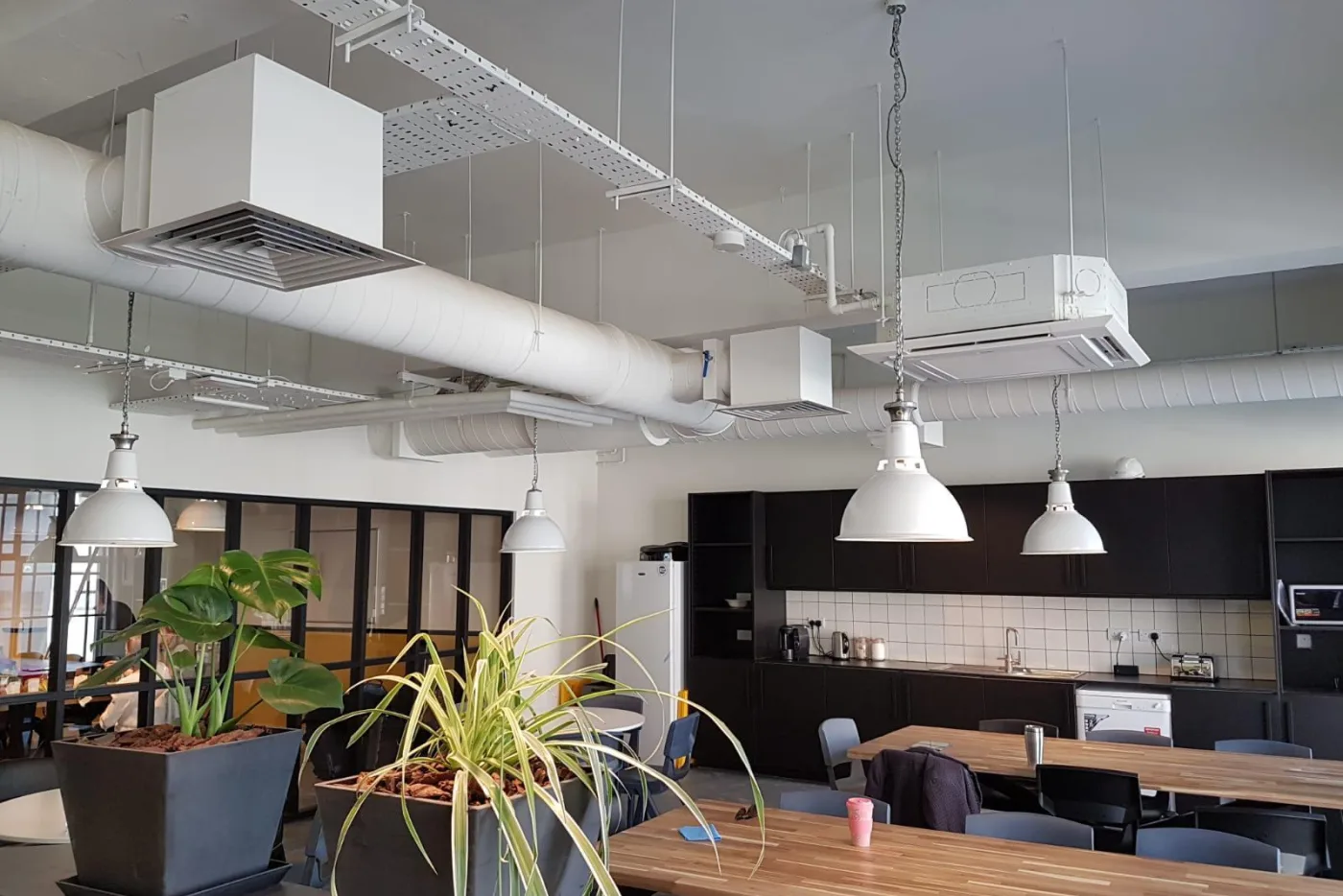 PHOTO 2019 03 14 14 11 31