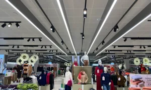 Audas ms manchester 17