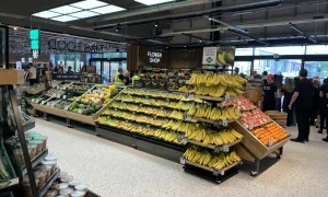 IMG 0607