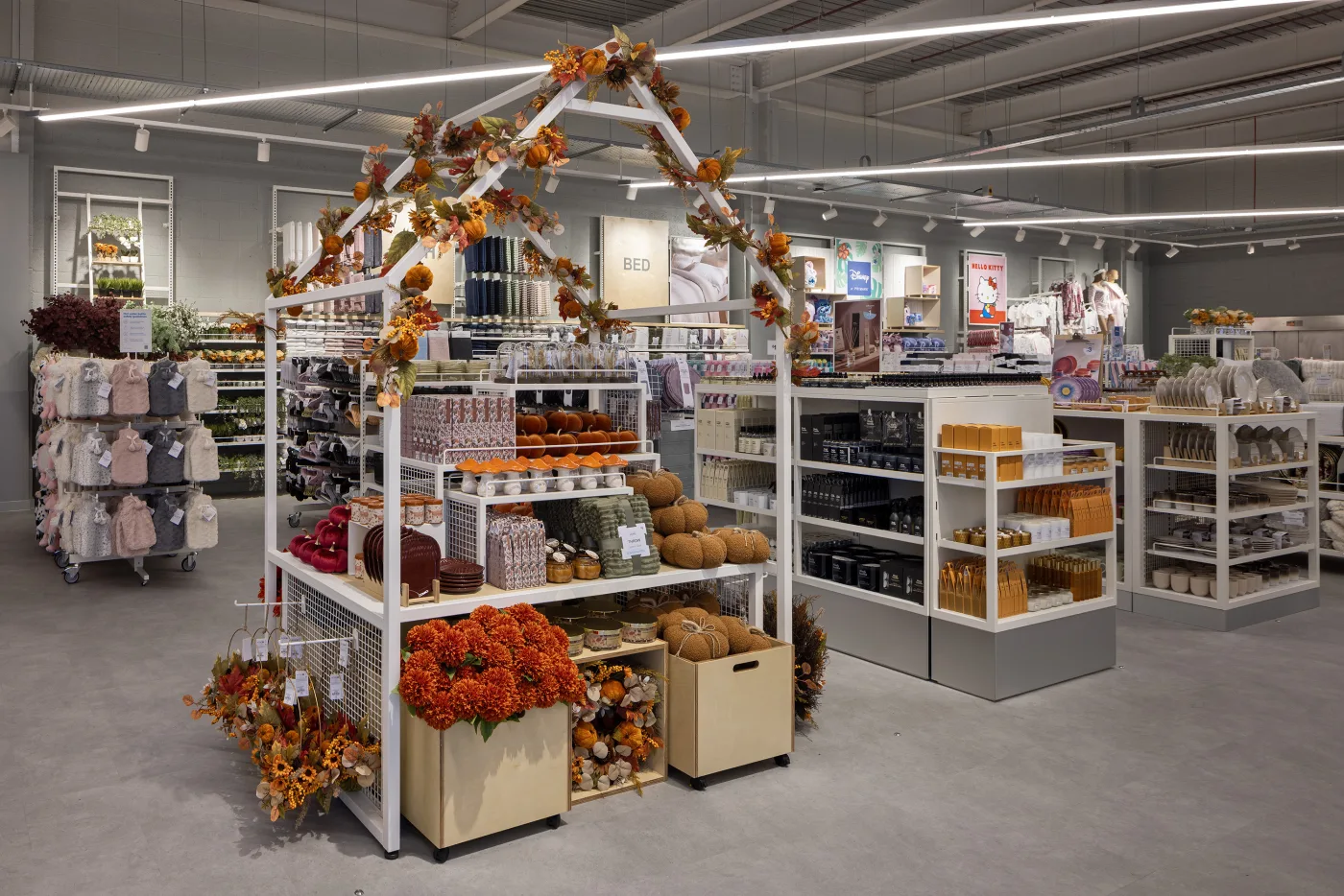 CL9 High Wycombe relocation photo 5601