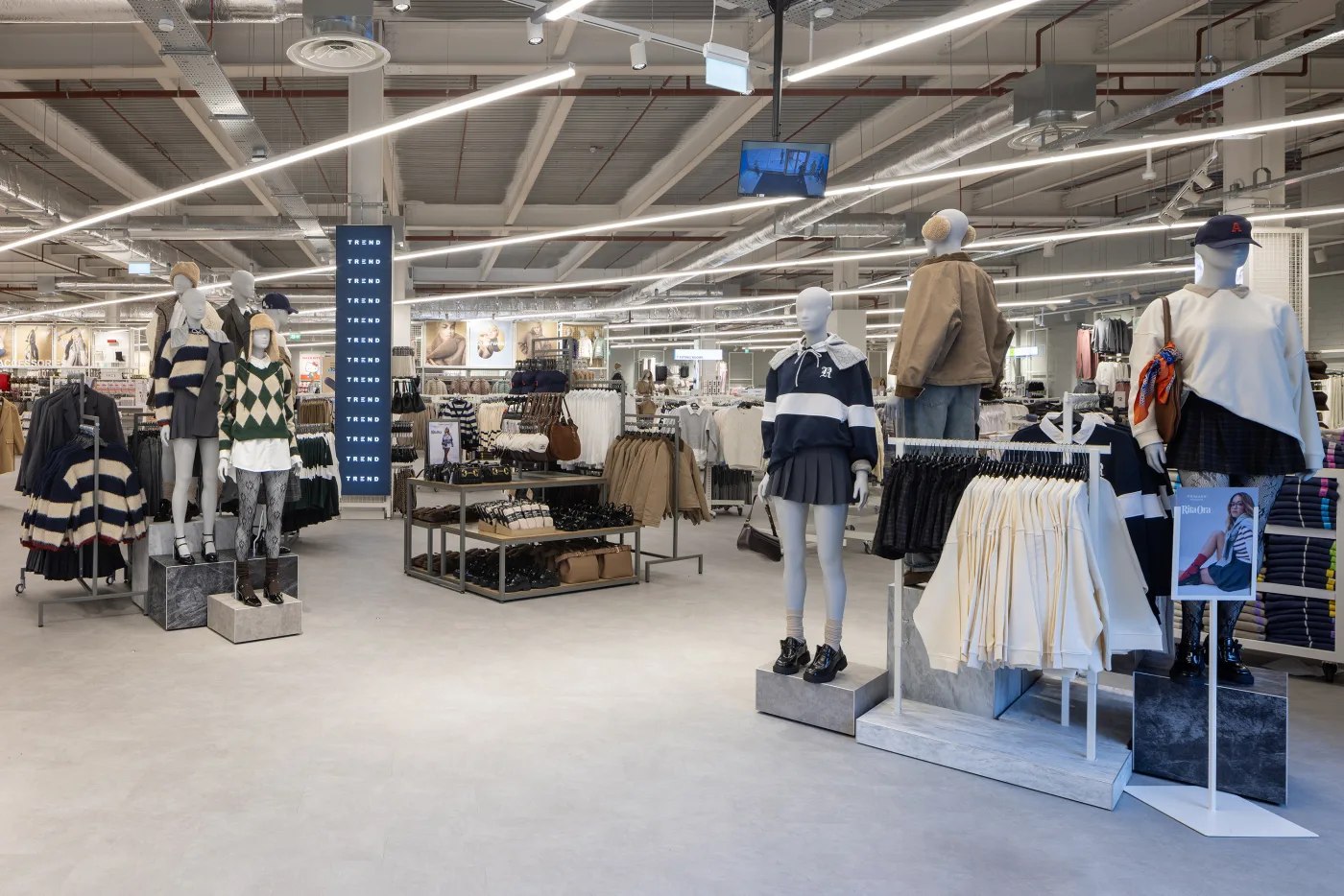 CL9 High Wycombe relocation photo 5472